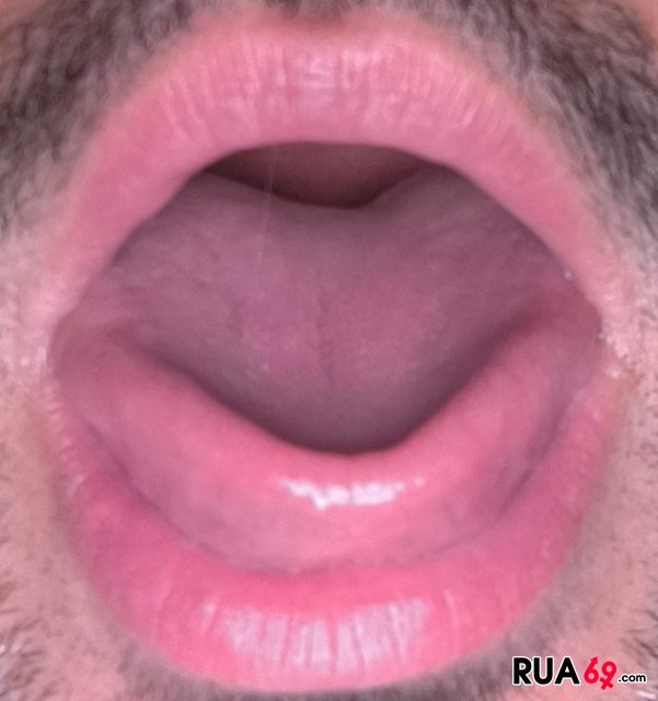 FAÇO A MELHOR MAMADA ATÉ AO FIM... HOJE, EM BEJA.. SIGILO.. 451