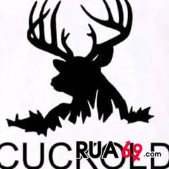 casal marido cuckold 