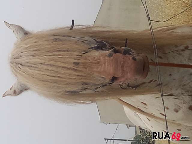 Vampira da prazer