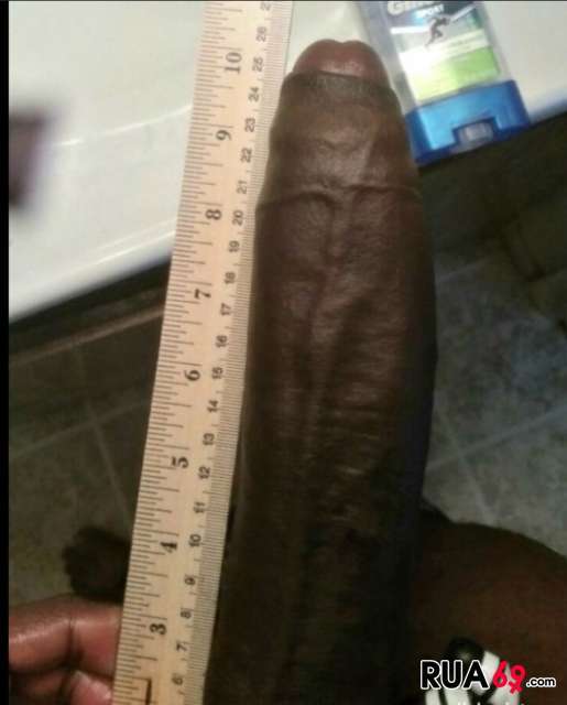 negro 515