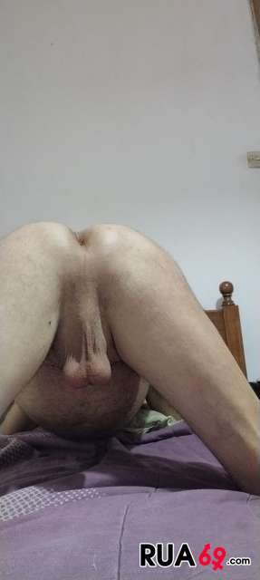 Procuro casais bisex ou transex 287