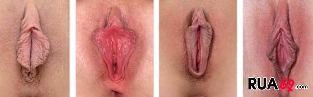cLITORIS 640