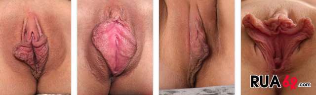 cLITORIS 640