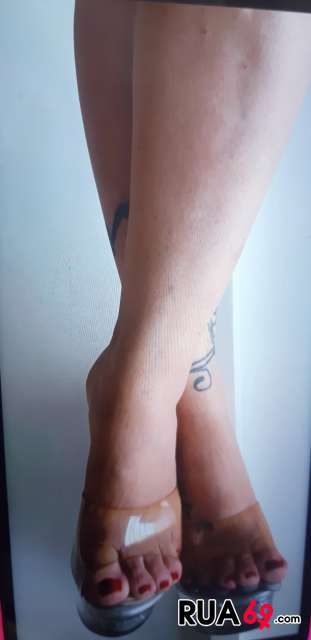 910157511 QUARETONA SAFADONA É GULOSA 311