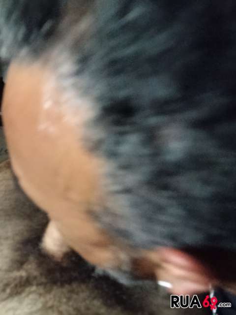 Pretinho da Chupeta 480