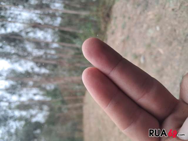 Tenho fetiche 640