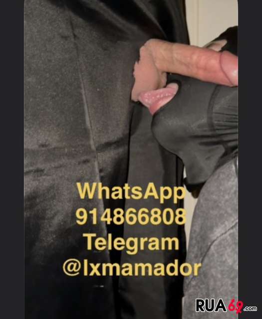 Gloryhole privado e discreto em apartamento. Vem meter o pau e ser bem mamado. 525