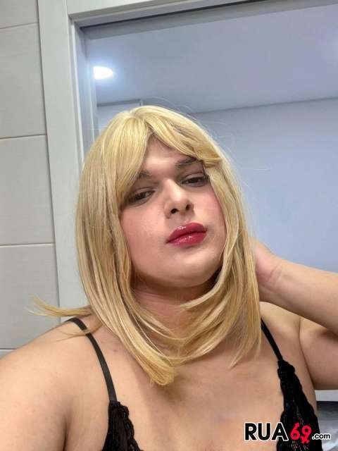 TRANS NOVINHA 480