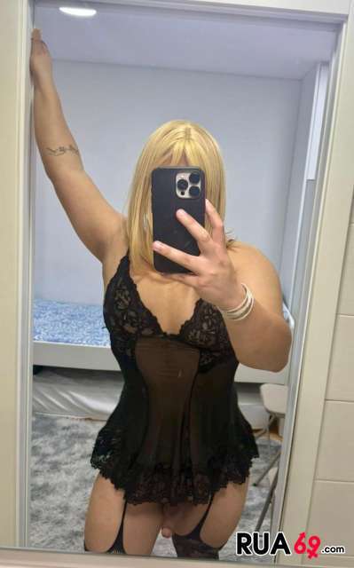TRANS NOVINHA 399