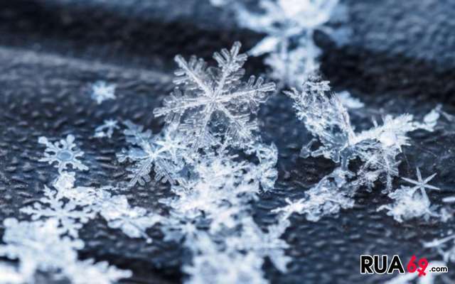 Partilhar horas especiais ❄️ 640