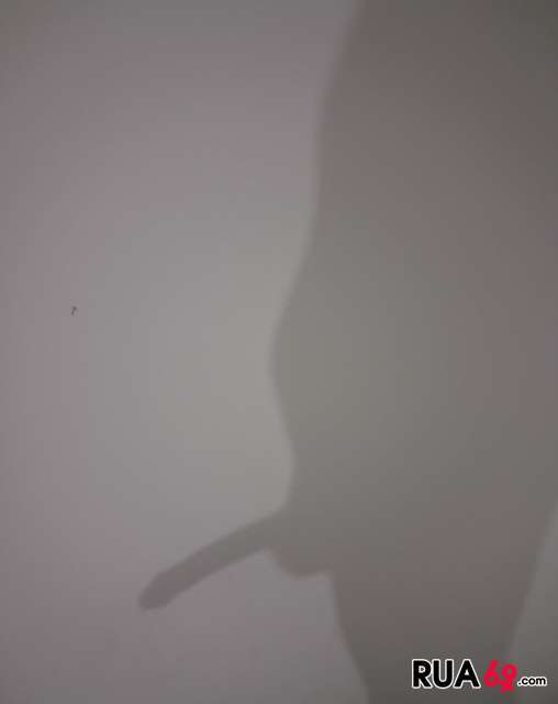 Alguma mulher com vontade de foder, sem tretas e sem truques? 508