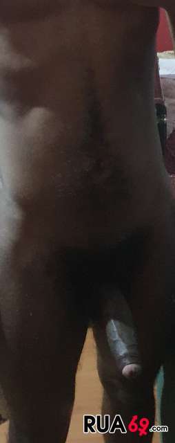 Negro quer Trans 254