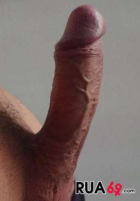 Gostas de camiões 939871577 289