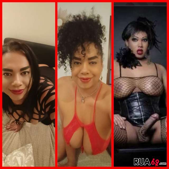 Trans Priscila 961117470 adoro iniciantes 640