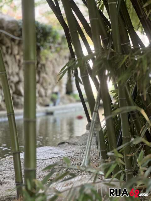 Rapaz faz massagem nas costas a senhores acima dos 60 anos  480